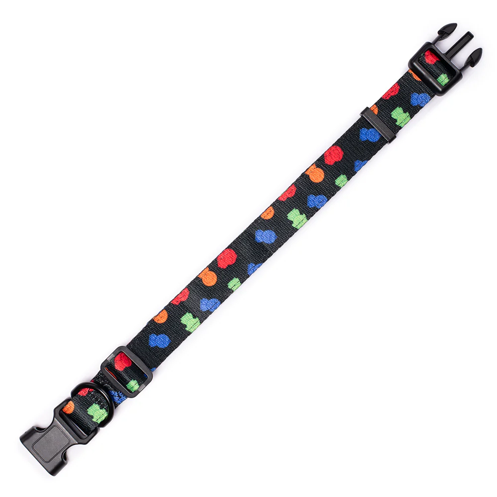South Park Boys Pet Collar