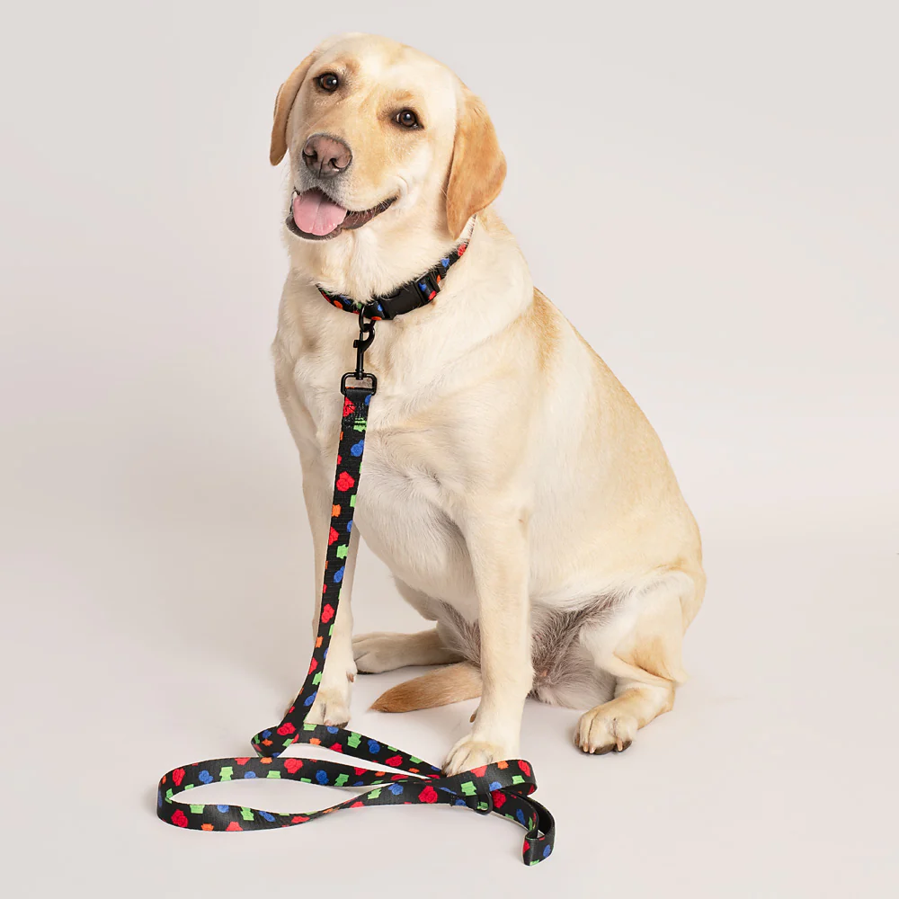 South Park Boys Pet Leash - Image 3